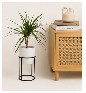 Plante d'intérieur fournie directement par l'usine avec un pot en métal blanc élégant et un support en métal minimaliste pour la décoration de la maison et du bureau - Product Image 4