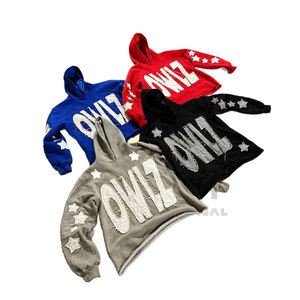 Hoodies brodés en coton mélangé pour usage extérieur, style décontracté, pour l'hiver, avec broderie effet vieilli - Product Image 1