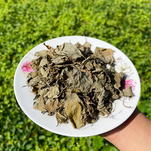 Hojas Secas Premium de Aganonerion Polymorphum para Sopa, Caja de 10 kg, Exportador en Vietnam - Product Image 1