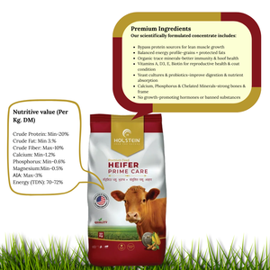 Suplemento Alimenticio para Vacas Lecheras de 50 kg – Nutrición Completa para <span class=keywords><strong>Ganado</strong></span> para Mejorar el Rendimiento en Granjas Lecheras - Product Image 2