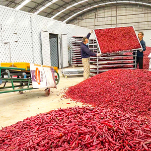 Commercial Big Dry Fruit Légumes Graine Sandlot Oignon Industriel Séchoir <span class=keywords><strong>À</strong></span> Fruits Secs Alimentaire <span class=keywords><strong>Sèche</strong></span>-<span class=keywords><strong>Pompe</strong></span> <span class=keywords><strong>À</strong></span> <span class=keywords><strong>Chaleur</strong></span> - Product Image 3