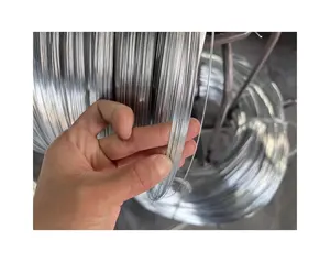 Electric Galvanized Iron Wire BWG22 24 26 28 6kg 10kg per roll Q195 Zinc Coated High Strength Low Price Galvanized Steel Wire