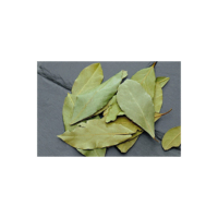 Feuilles de Laurier Cinnamomum Tamala Tej Patta Tejpatta Tejpat Malabar Séchées, Herbes Brutes Séchées, Extrait Végétal, Produit Herbal en Gros