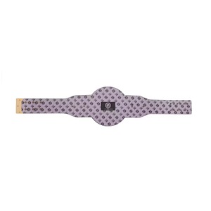 Réplica del Cinturón de los Winnipeg Jets Legacy Title - Product Image 5