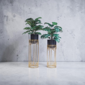 Juego de Soportes Modernos para Plantas de Interior, Chapados en Oro, Estilo Minimalista, para Plantas Verdes - Product Image 2