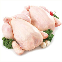 Pollo Entero Congelado Halal, Sin Cafeína, Sin Grasas Trans, Empaque a Granel, Proceso IQF, 25 kg, Alta Calidad, 1 Año de Vida Útil