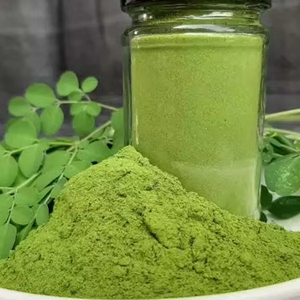 Moringa Powder 100% Natural & Pure for Bakery & Nutritional <b>Beverages</b> 10kg Eco-Friendly Pack - Product Image 1