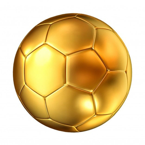 Equipo de Entrenamiento de Fútbol Personalizable de Alta Calidad con Logotipo Personalizado, Diseño a Color, Acabado Brillante y Material Personalizado - Product Image 4