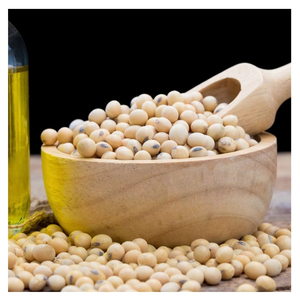 High Quality Soybean Seeds Certified <b>Planting</b> Seeds for Farming Agriculture Crop Production Wholesale Supplier Manufacturer - Product Image 2