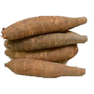 มันสำปะหลังออร์แกนิกคุณภาพสูงสดใหม่สำหรับขาย - Product Image 1