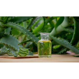 Huile d'aloe vera Hanu rare, 100% pure et naturelle, distillée à la vapeur, huile de support pour les soins de la peau et l'utilisation cosmétique - Product Image 1