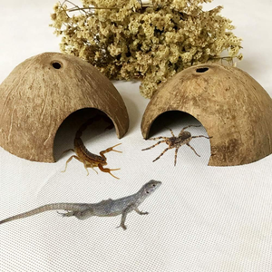 Vente en gros de cachettes naturelles en noix de coco pour reptiles, grottes en coco pour petits reptiles, prix bas du Vietnam - Product Image 4