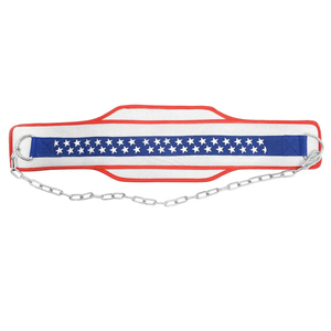 Ceinture de musculation avec chaîne, motif drapeau américain, pour dips et entraînement de force - Product Image 4