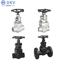 Vanne à boisseau sphérique en acier inoxydable forgé DKV 800Lb à soudure à douille F304 F316L Vanne à boisseau sphérique en acier inoxydable forgé classe 800 à filetage SW