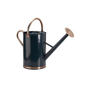 Arrosoir en métal de style américain, aspect vintage, pour plantes d'intérieur et d'extérieur, couleur noire, porte-fleurs - Product Image 6