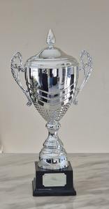 Trofeo Metálico de Lujo Más Vendido para Eventos de Reconocimiento y Motivación de Empleados Disponible a Precio de Fábrica - Product Image 6