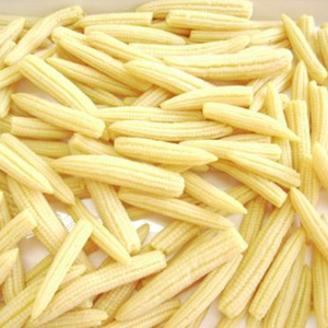 ข้าวโพดหวานธรรมชาติในน้ำเกลือ รับทำฉลากตามสั่ง - Product Image 5