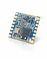 Module LoRa Sub GHz SX1262 868 MHz 915 MHz Émetteur-récepteur sans fil