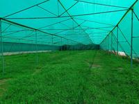FORTUNE AGRO NET Filet de sécurité extrudé pour la construction, l'industrie, l'agriculture, l'horticulture et la protection des oiseaux