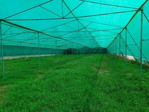 Redes de plástico monofilamento moldeadas de fabricación india FORTUNE AGRO NET Modelo NA - Product Image 5