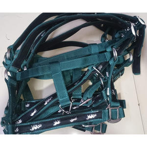 À VENDRE PP HORSE 3 PLIS HALTER AVEC ROUILLE RACCORD COULEUR VERT EN DOLLAR 2.5 CARTE DE CRÉDIT TAILLE ACCEPTÉE PLEINE COB - Product Image 1