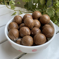 Non-Gmo Vietnamese Macadamia Hoge Kwaliteit Notenkraker Beste Prijs Bulkvoorraad Verse Stijl Cashewnoten Gedroogd Fruit