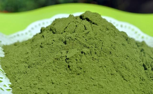 Poudre de feuilles de Katuk séchées du Vietnam, 5 kg, sac Kraft, pour sachets de thé, mélanges pour soupes, assaisonnements et boissons – Vente directe usine - Product Image 6