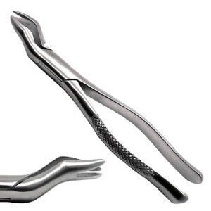 Pinzas de Extracción Quirúrgicas Dentales Manuales Reutilizables de Acero Inoxidable para Molares Superiores y Caninos Superiores Shuja Surgico - Product Image 4
