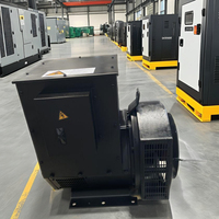Alternateur sans brosse monophasé direct d'usine 45kVA 220V conception de cuivre de 50Hz