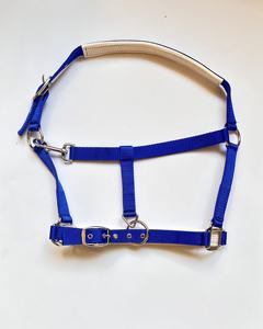 Vente en gros de licol pour chevaux équestres Halter Handy Halters Équipement équin de haute qualité Produits de course pour chevaux personnalisés et durables - Product Image 1
