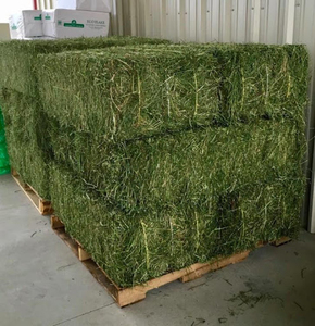 Heno de Alfalfa Confiable, Clasificado y Seleccionado para una Calidad Consistente y Eficiencia Alimentaria - Product Image 1