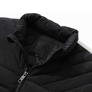 Chaqueta Acolchada de Moda para Invierno, Estilo Urbano, con Capucha, Resistente al Viento, Unisex, con Forro de Algodón, Precio al por Mayor - Product Image 3