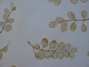 Impressions de feuilles naturelles partout sur le papier, avec des broderies sur les motifs des bords, ce qui le rend élégant et riche, idéal pour emballer des feuilles cadeaux. - Product Image 3