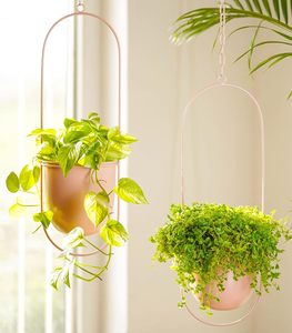 Cadena colgante metálica para macetas, decoración interior, balcón, techo, sala de estar, soporte para plantas botánicas, estilos modernos con acabado color verde azulado. - Product Image 4