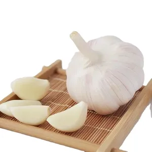 <span class=keywords><strong>Ajo</strong></span> de China para el Mercado del Sudeste Asiático, Suministro Mensual de 35-40 MT, <span class=keywords><strong>Ajo</strong></span> Fresco - Product Image 5