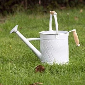 Arrosoir artisanal en métal fait main avec long bec, outil de jardinage pour plantes d'intérieur et d'extérieur, décoratif - Product Image 4