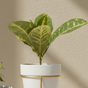 Golden Polished <b>Iron</b> Modern Planter Holder Durable <b>Lightweight</b> Metal Flower Planter Holder Indoor Outdoor Garden Office and Home - Product Image 5