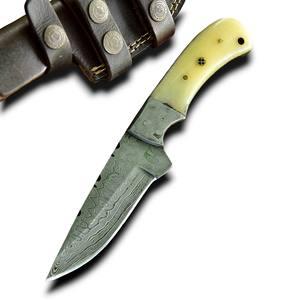 Cuchillo de Acero de Damasco Forjado a Mano de Primera Calidad, Hoja Fija, Profesional, para Caza, Camping, Supervivencia, Bricolaje, Multifuncional, OEM - Product Image 1