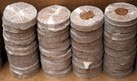 Blocs de coco peat - Substrat écologique biodégradable sans terre, à forte rétention d'eau, léger, pour culture hydroponique et semis