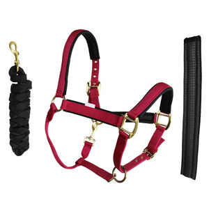 Elegante Brida para Caballo de Nylon Premium, Acero Inoxidable, Duradera, Cómoda, Ajustable, Acolchada y Suave, Hecha a Mano para Montar, Entrenar y Exhibiciones - Product Image 2