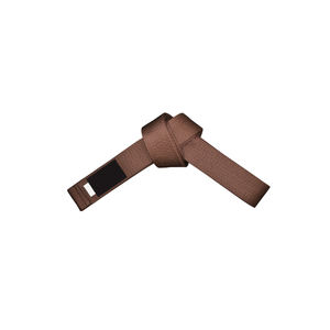 Cinturones de Karate Personalizados con Opciones de Bordado para Nombres, Logotipos de Club, Colores, Rangos, Cinturones Duraderos con Costuras Multicapa para Karate, Judo, BJJ - Product Image 5