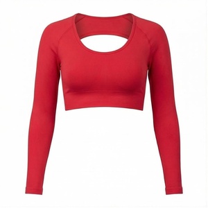 <b>Red</b> <b>Long</b> <b>Sleeve</b> <b>Crop</b> <b>Top</b> Scoop Neck Cut-Out Seamless Breathable Yoga Wear Women's Sportswear - Product Image 1