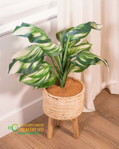 Coir Mulch Ring <b>for</b> Plant Bases Natural Coconut Fiber Cover <b>for</b> <b>Trees</b> Flowers Shrubs and Garden Plants Eco2go Vietnam - Product Image 5