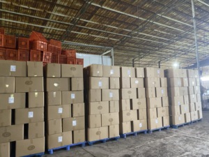 ขนุนอบแห้งคุณภาพสูง อร่อย กรอบ เหมาะสำหรับการจำหน่ายทั่วโลก ราคาโรงงานโดยตรง ยินดีรับคำสั่งซื้อจำนวนมาก วันนี้ - Product Image 4