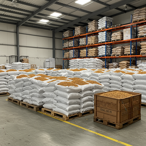 Anacardos Tostados Ligeros a Granel para Comerciantes Internacionales de Alimentos y Distribuidores de Ingredientes de Frutos Secos en Todo el Mundo - Product Image 2