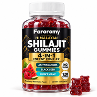 Gummies de Shilajit de l'Himalaya 4-en-1 Complexe Énergétique avec Ashwagandha et Crinière de Lion - Sans Sucre 120 unités Vente en Gros Marque Privée