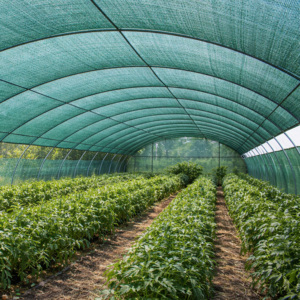 ตาข่ายบังแดด HDPE (โมโน x โมโน) |   ตาข่ายบังแดดแบบถัก ทนทาน ป้องกันรังสียูวี |   ตาข่ายป้องกันสำหรับโรงเรือนและการเกษตร - Product Image 3