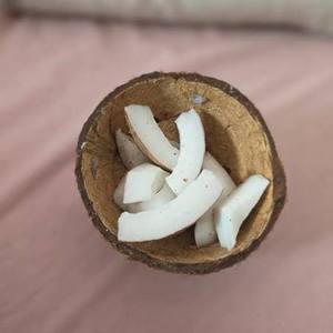 Exportador de Pulpa de Coco Madura Fresca de Vietnam, Pulpa de Coco con Alto Contenido de Grasa para Procesamiento de Alimentos, Suministro Directo de Fábrica - Product Image 2