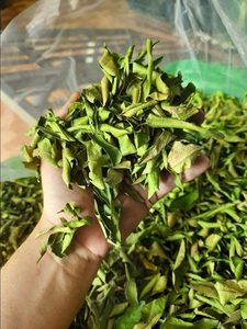 Feuilles de citron vert séchées, matière première pour assaisonnement culinaire, préparation de plats asiatiques du Vietnam, export en vrac - Macy - Product Image 6