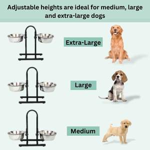 Comedero Doble para Perros y Gatos con Marco de Hierro Elevado Extraíble, Comedero Portátil de Acero Inoxidable con Forma de H y Recipientes Extraíbles - Product Image 5